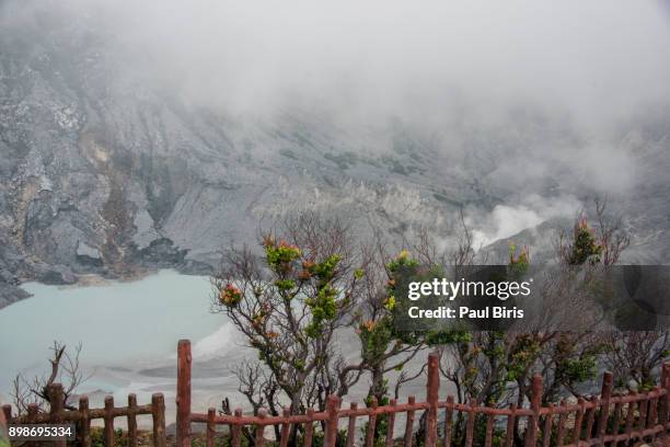 kawah ratu (queen's crater) of mount tangkuban, perahu, bandung, java, indonesia - snake fruit stock pictures, royalty-free photos & images