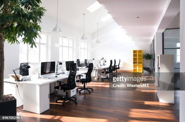 desks with pcs in bright and modern open space office - no people stock pictures, royalty-free photos & images