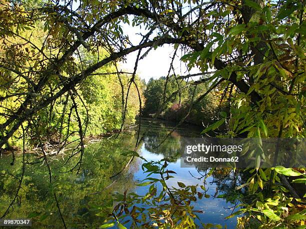 the tualatin river national wildlife refuge - tualatin stock pictures, royalty-free photos & images