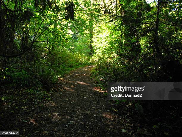 trail at tualatin river national wildlife refuge - tualatin stock pictures, royalty-free photos & images