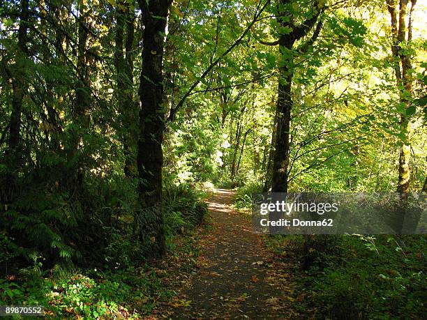 path through - tualatin stock pictures, royalty-free photos & images