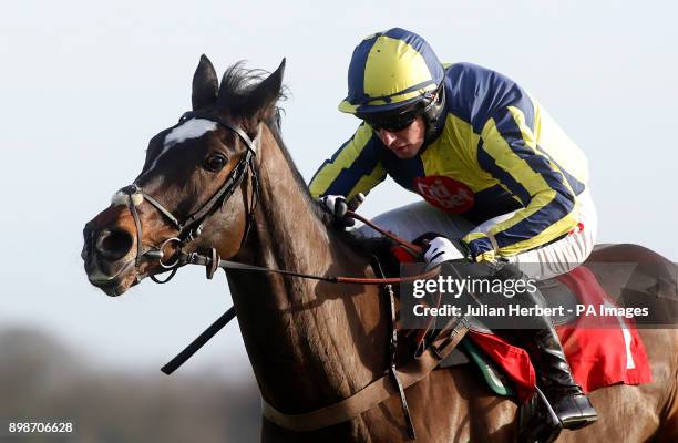 If The Cap Fits ridden by Noel Fehily goes on to win The 32Red Casino Novices' Hurdle Race run during the 32Red Winter Festival at Kempton Park,...