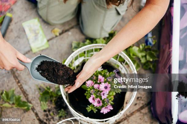 a woman planting up a basket with flowers, and adding soil around the base of the plant. - garden trowel stock pictures, royalty-free photos & images