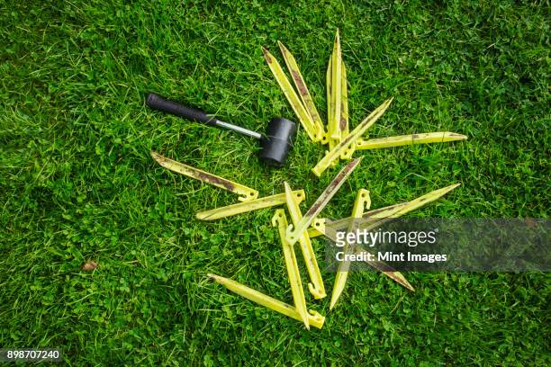 a mallet and yellow plastic pegs, tent pegs on the grass, camping equipment. - picchetto da tenda foto e immagini stock