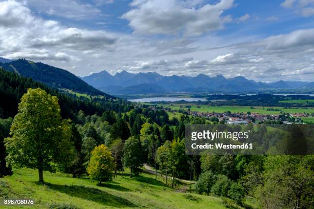 germany, bavaria, swabia, east allgaeu, view to lechtal alps, lake forggensee, trauchgau and halblech - lechtal alps stock pictures, royalty-free photos & images