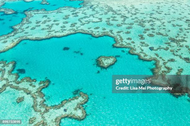 great barrier reef - great barrier reef marine park stockfoto's en -beelden