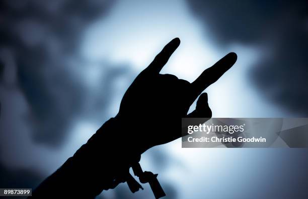 Metal fan raising arm with devil horn hand gesture in the crowd at Bloodstock Open Air Festival at Catton Hall on August 16, 2009 in Derby, England.