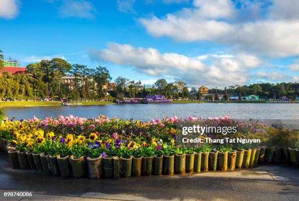 flower decoration on street in flowers festival in dalat, vietnam - dalat stock pictures, royalty-free photos & images