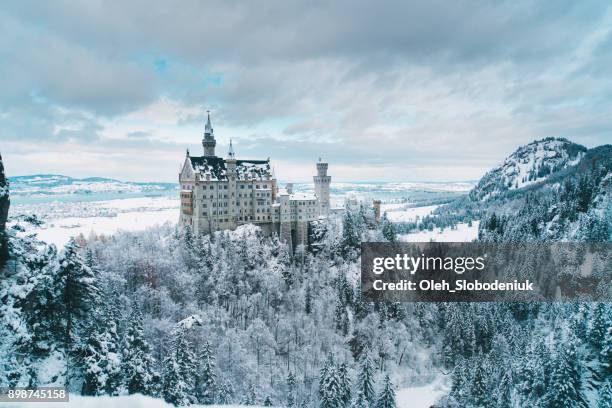 vista panorámica al castillo de neuschwanstein en alemania - schloss neuschwanstein winter fotografías e imágenes de stock