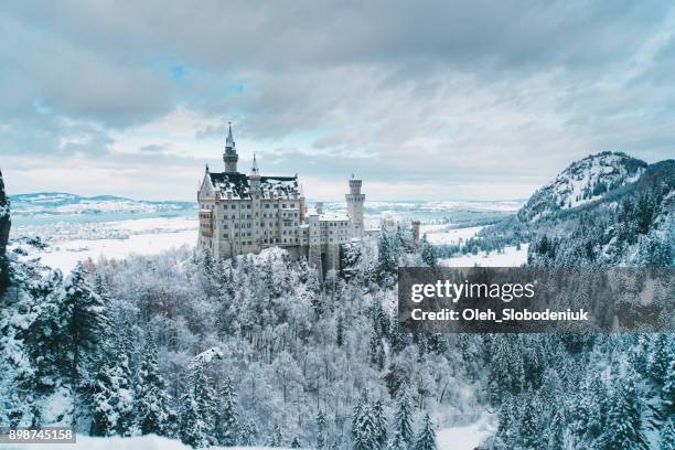 vista panorámica al castillo de neuschwanstein en alemania - neuschwanstein castle fotografías e imágenes de stock