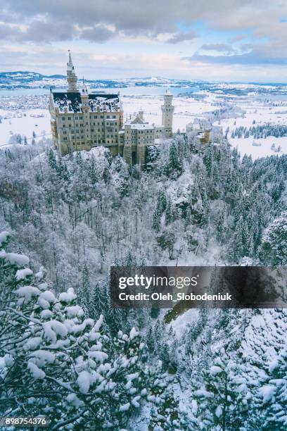 scenic view of  neuschwanstein castle in germany - neuschwanstein winter stock pictures, royalty-free photos & images