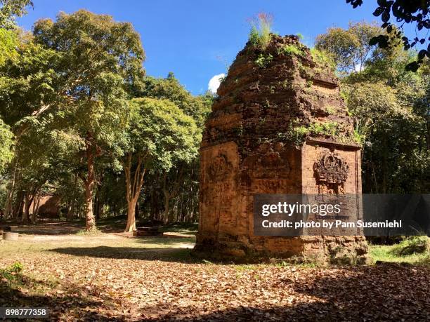 sambor prei kuk ruins, brick temple, cambodia - prei stock pictures, royalty-free photos & images