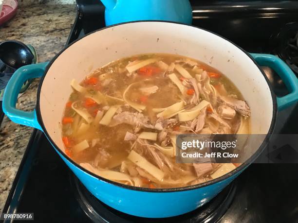 turkey noodle soup - sopa de pollo con fideos fotografías e imágenes de stock