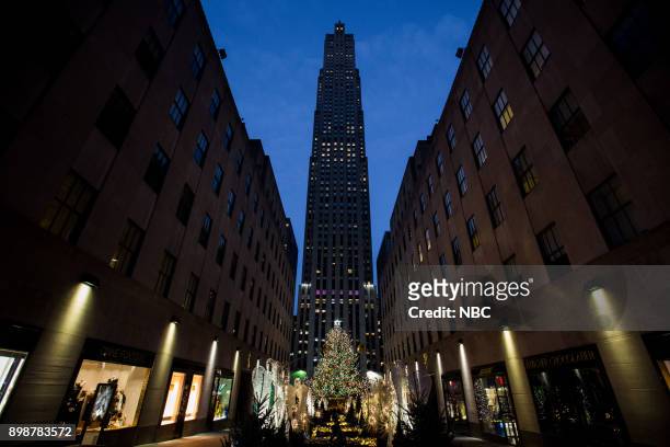 Rockefeller Plaza Christmas Tree on Tuesday, Tuesday 26, 2017 --
