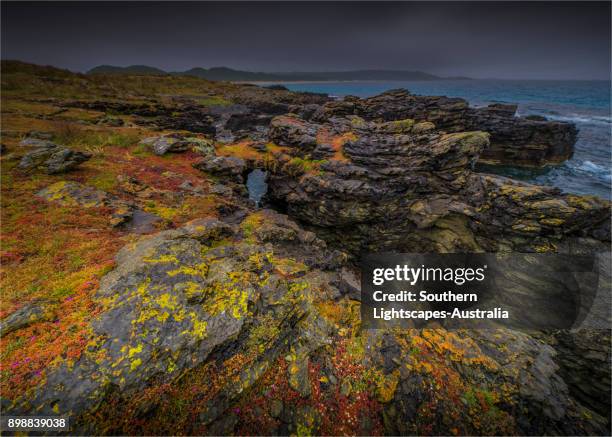 Bass Point Rocks 150 Bass Point (Australia) Stock Photos, High-Res Pictures, and Images ...