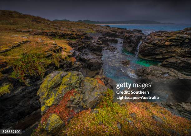 Bass Point Rocks 149 Bass Point Australia Stock Photos, High-Res Pictures, and Images ...
