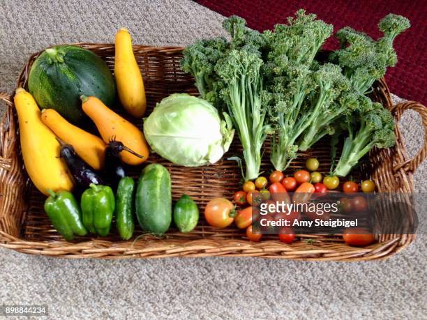 vegetable harvest - amy gardner bildbanksfoton och bilder