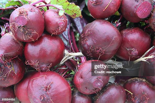 fresh organic red beets - beet stock pictures, royalty-free photos & images