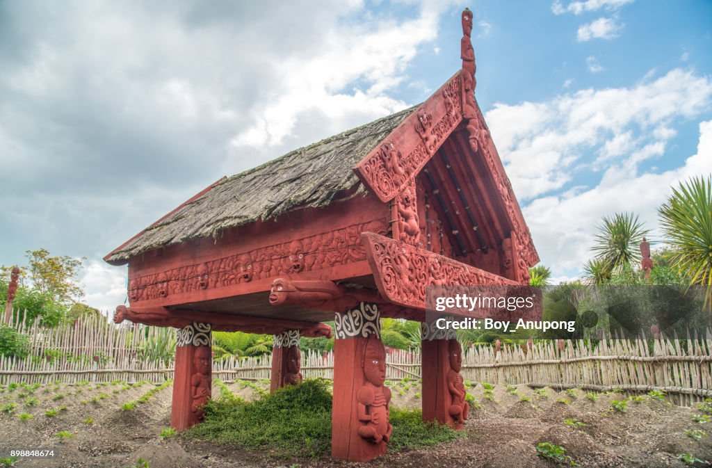 Traditional Maori building named Te Parapara Garden (Maori garden) in Hamilton gardens of Hamilton, New Zealand.