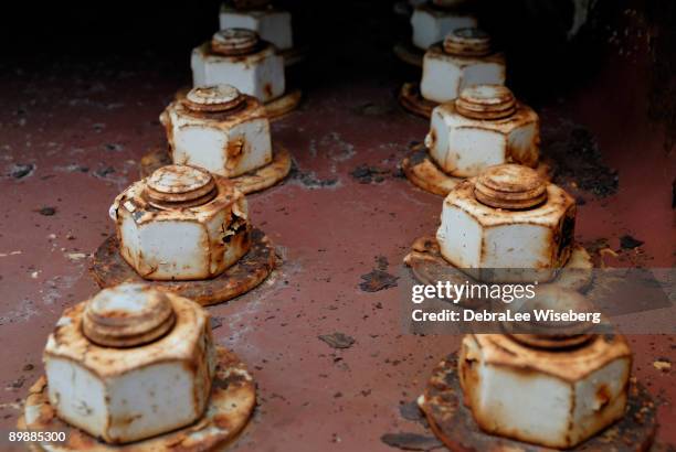Rusty Lee Rusty Lee Photos and Premium High Res Pictures - Getty Images