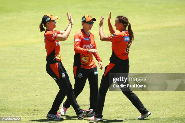 Lauren Ebsary and Piepa Cleary of the Scorchers celebrate the wicket of Mignon du Preez of the Stars during the Women's Big Bash League match between...