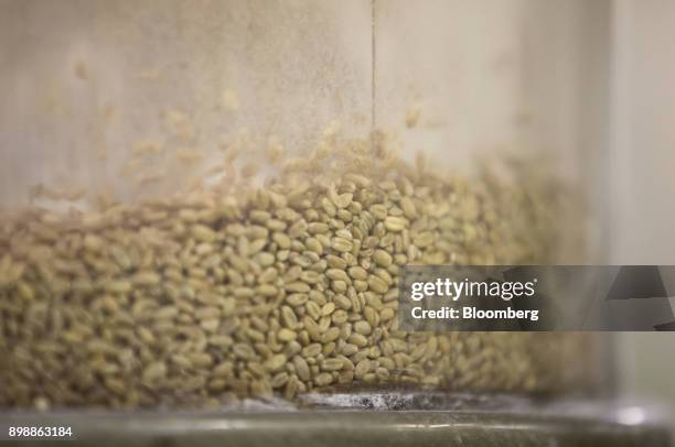 Wheat grain is seen inside a milling machine at the Tofuku Flour Mills Co. Facility in Dazaifu, Fukuoka, Japan, on Dec. 21, 2017. Fukuoka, on Japans...