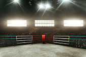 Boxing ring 3D render