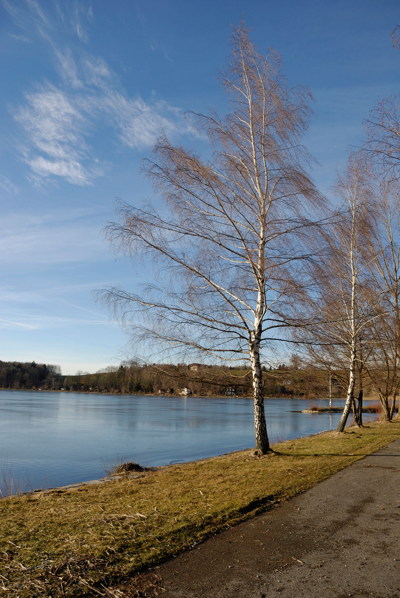 neumarkt am wallersee