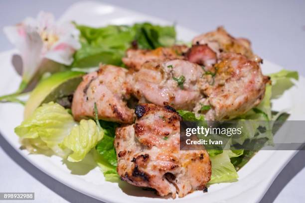 traditional indian food, grilled spicy chicken kababs - chandni chowk stockfoto's en -beelden