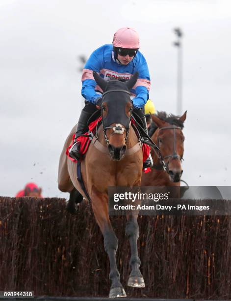 Cyrname ridden by Sean Bowen wins the 32Red.com Wayward Lad Novices' Steeple Chase during day two of the 32Red Winter Festival at Kempton Park,...