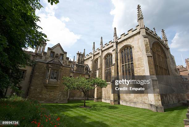 trinity college and newtons apple tree, cambridge. - trinity college stock pictures, royalty-free photos & images