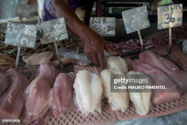 Fish is being sold at a street market in Rio de Janeiro, on December 27, 2017 a day after Brazil said it was suspending fish exports to the European...