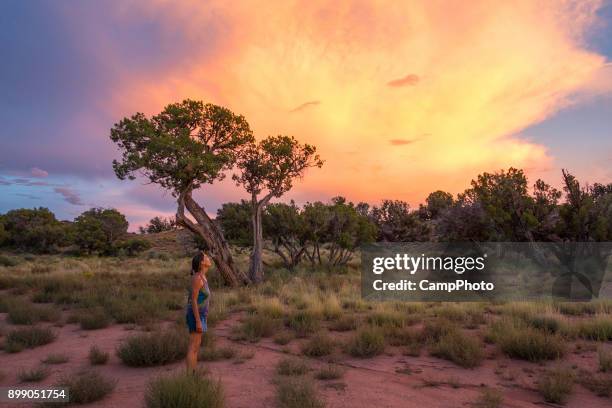 waarderen van dramtic hemel - surprise arizona stockfoto's en -beelden