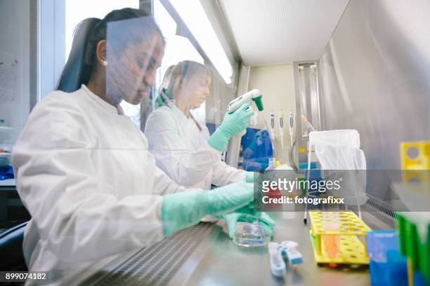 young female scientist works at work bench in laboratory - lab bench stock pictures, royalty-free photos & images
