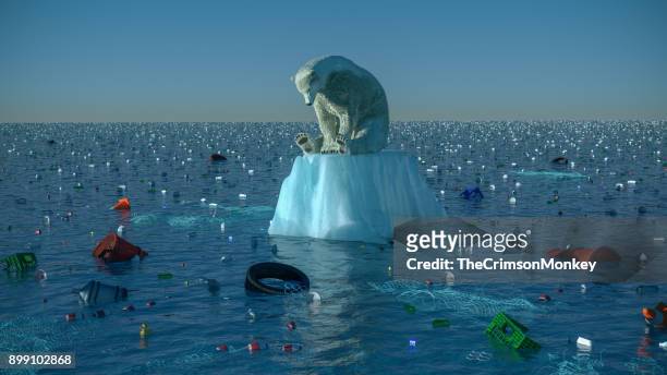 traurig polar bear - abfall stock-fotos und bilder