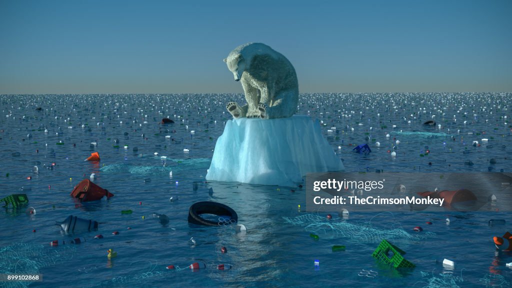 Sad Polar Bear