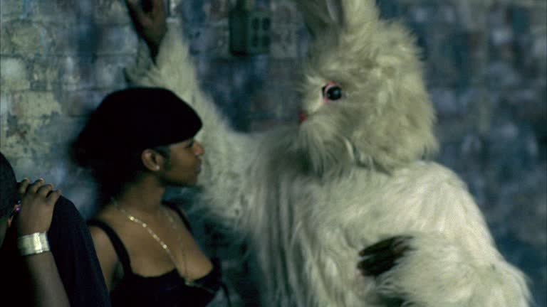 Woman Rabbit Dispatch 663 Woman With Rabbit Stock Videos, Footage, & 4K Video Clips - Getty ...