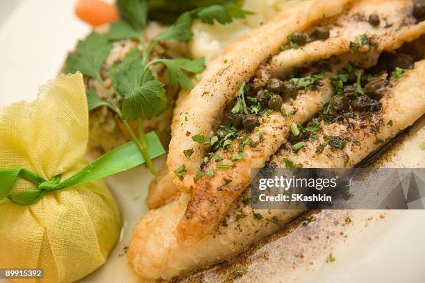 dover sun - flounder stock pictures, royalty-free photos & images