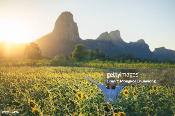 young woman traveler with hat in sunflower fields with happiness and cheerful at sunset and arms raised up. - yellow retro dress stock pictures, royalty-free photos & images