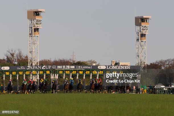 Jockeys compete the Japan Cup in association with Longines at Tokyo Racecourse on November 26, 2017 in Tokyo, Japan.