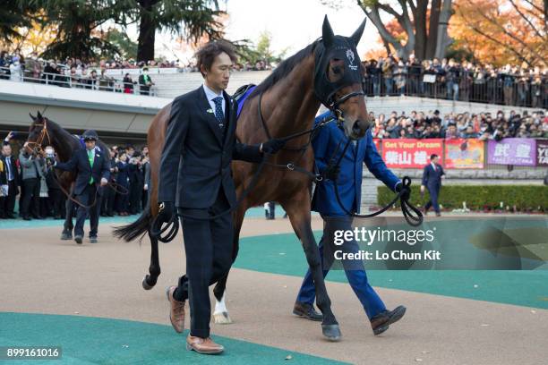 Horse Makahiki being led around the paddock during the Japan Cup at Tokyo Racecourse on November 26, 2017 in Tokyo, Japan.