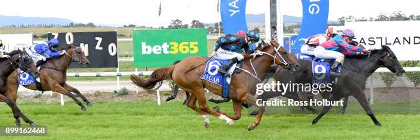 Quietly Angry ridden by Katelyn Mallyon wins the Zonzo Estate F&M Maiden Plate at Yarra Valley Racecourse on December 28, 2017 in Yarra Glen,...