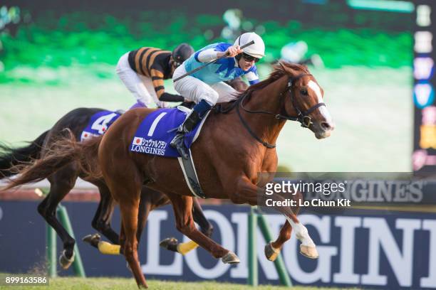 Jockey Hugh Bowman riding Cheval Grand wins the Japan Cup in association with Longines at Tokyo Racecourse on November 26, 2017 in Tokyo, Japan.