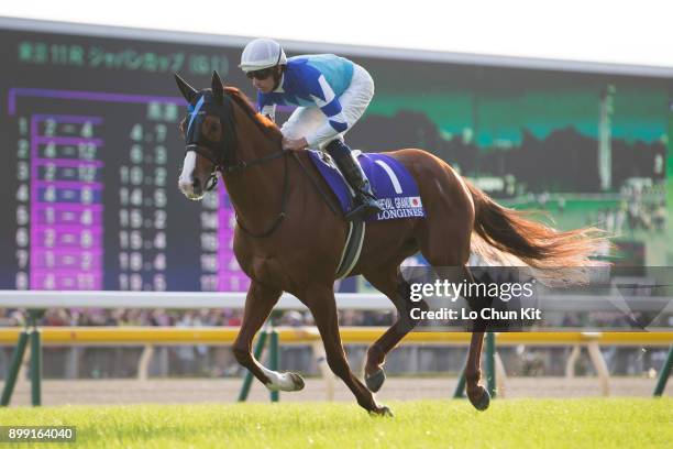 Jockey Hugh Bowman riding Cheval Grand during the Japan Cup at Tokyo Racecourse on November 26, 2017 in Tokyo, Japan.