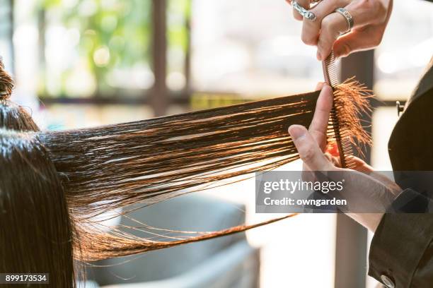 the hairdresser is cutting out hair - hairstyles stock pictures, royalty-free photos & images