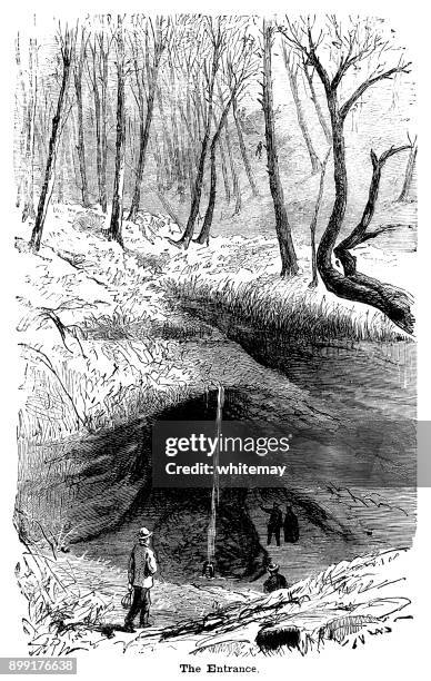 bildbanksillustrationer, clip art samt tecknat material och ikoner med ingången till den mammoth cave, kentucky - mammoth cave nationalpark