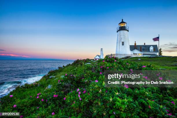 pemaquid lighthouse with pink roses - maine lighthouse stock pictures, royalty-free photos & images