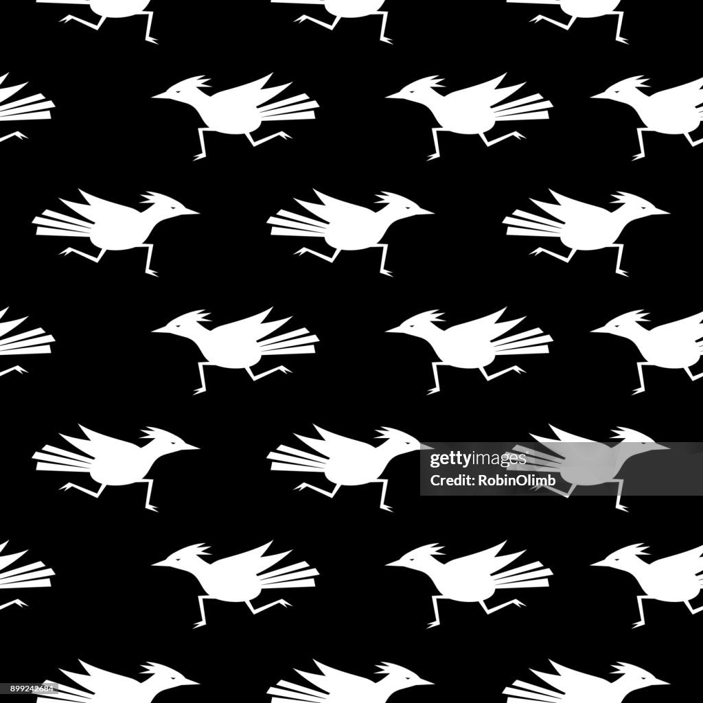 Black And White Roadrunner Seamless Pattern