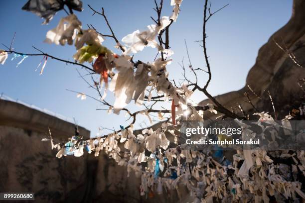 small tree covered with plastic bags - small plastic bag stock pictures, royalty-free photos & images