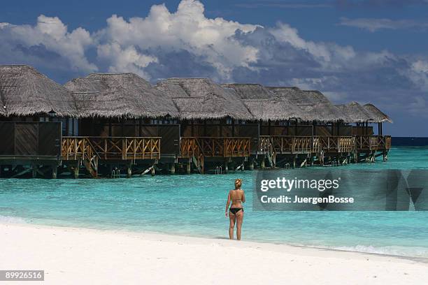 beach huts - juergen bosse stockfoto's en -beelden